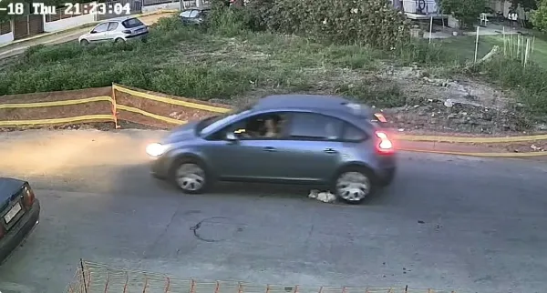 Sürücünün Köpeği Bilerek Ezip Geçmesi Tepki Çekti
