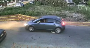 Sürücünün Köpeği Bilerek Ezip Geçmesi Tepki Çekti