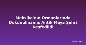 Meksika'nın Ormanlarında Dokunulmamış Antik Maya Şehri Keşfedildi