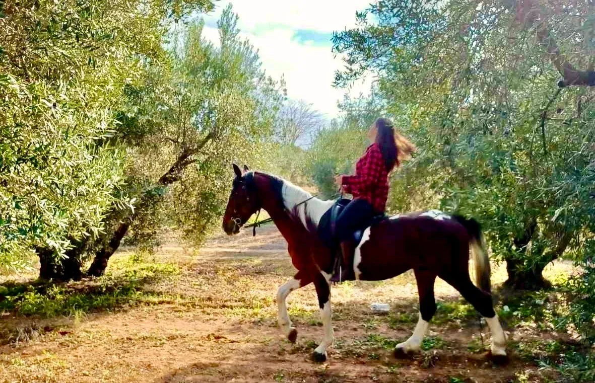 Yunanistan’da Kadın Zeytin Çiftçileri Geleneği Nasıl Dönüştürüyor?