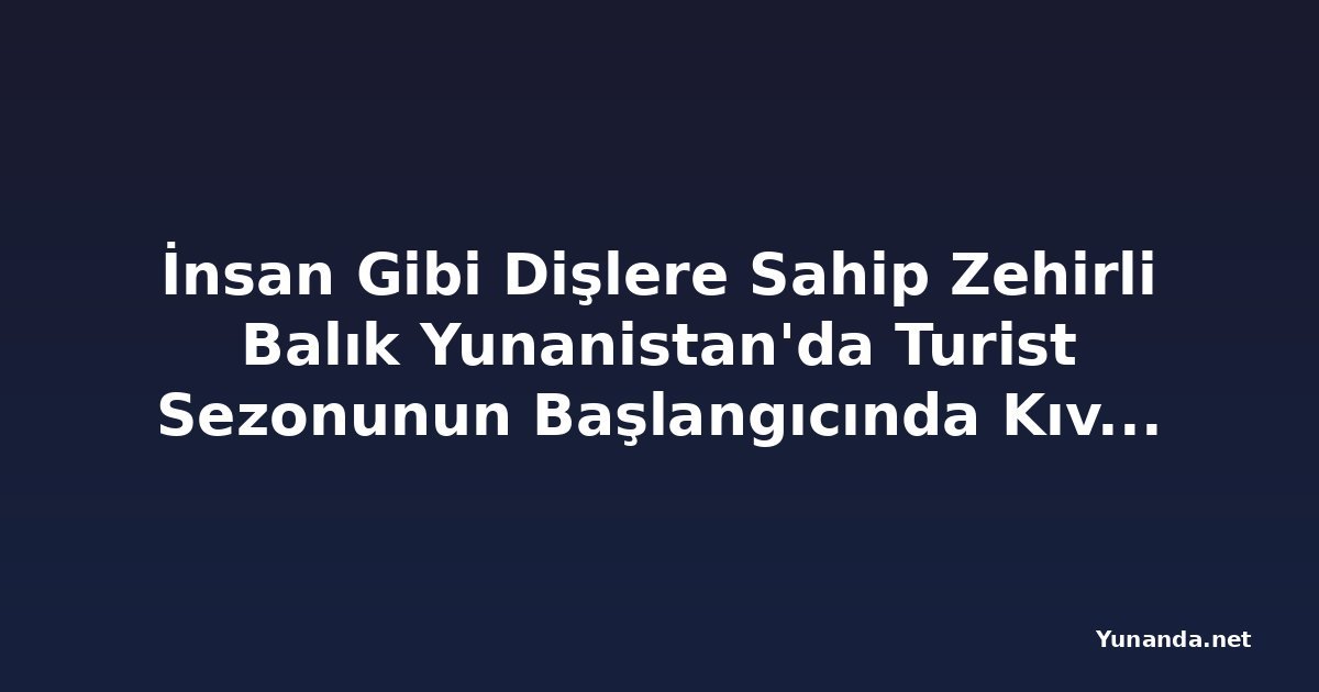İnsan Gibi Dişlere Sahip Zehirli Balık Yunanistan'da Turist Sezonunun Başlangıcında Kıvılcım Çıkardı