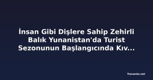 İnsan Gibi Dişlere Sahip Zehirli Balık Yunanistan'da Turist Sezonunun Başlangıcında Kıvılcım Çıkardı