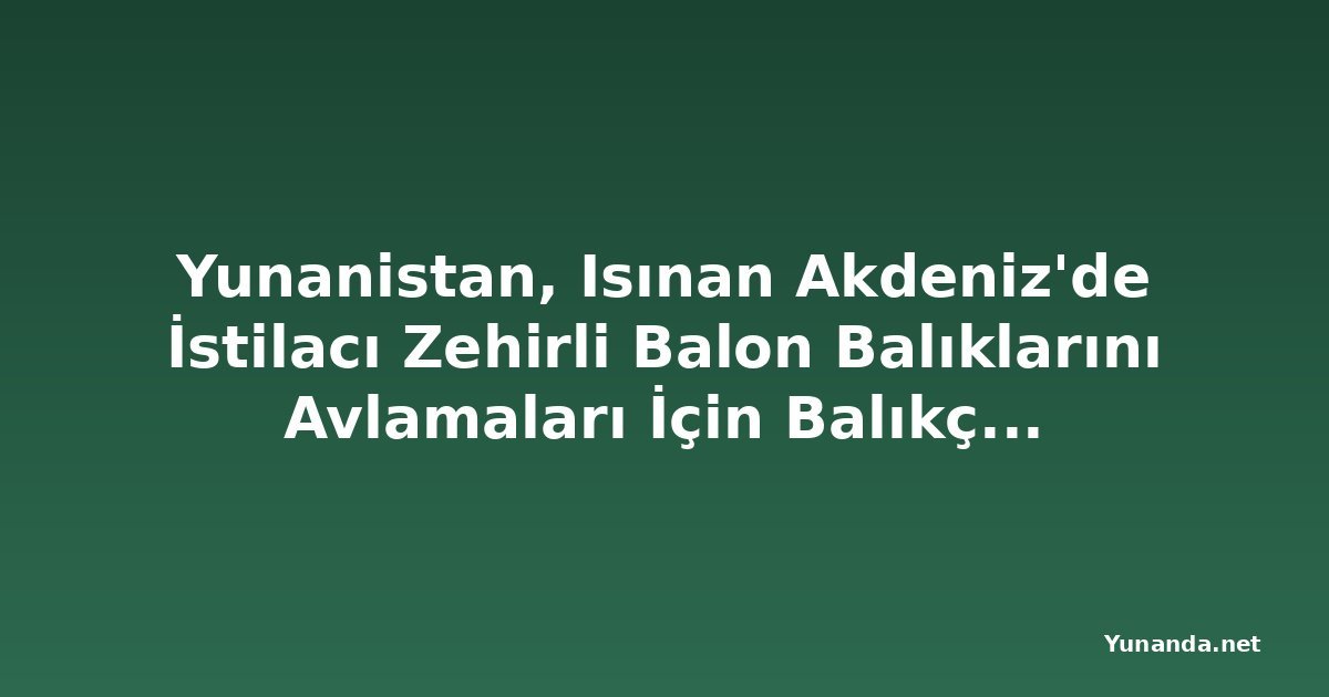 Yunanistan, Isınan Akdeniz'de İstilacı Zehirli Balon Balıklarını Avlamaları İçin Balıkçılara Ödeme Yapıyor