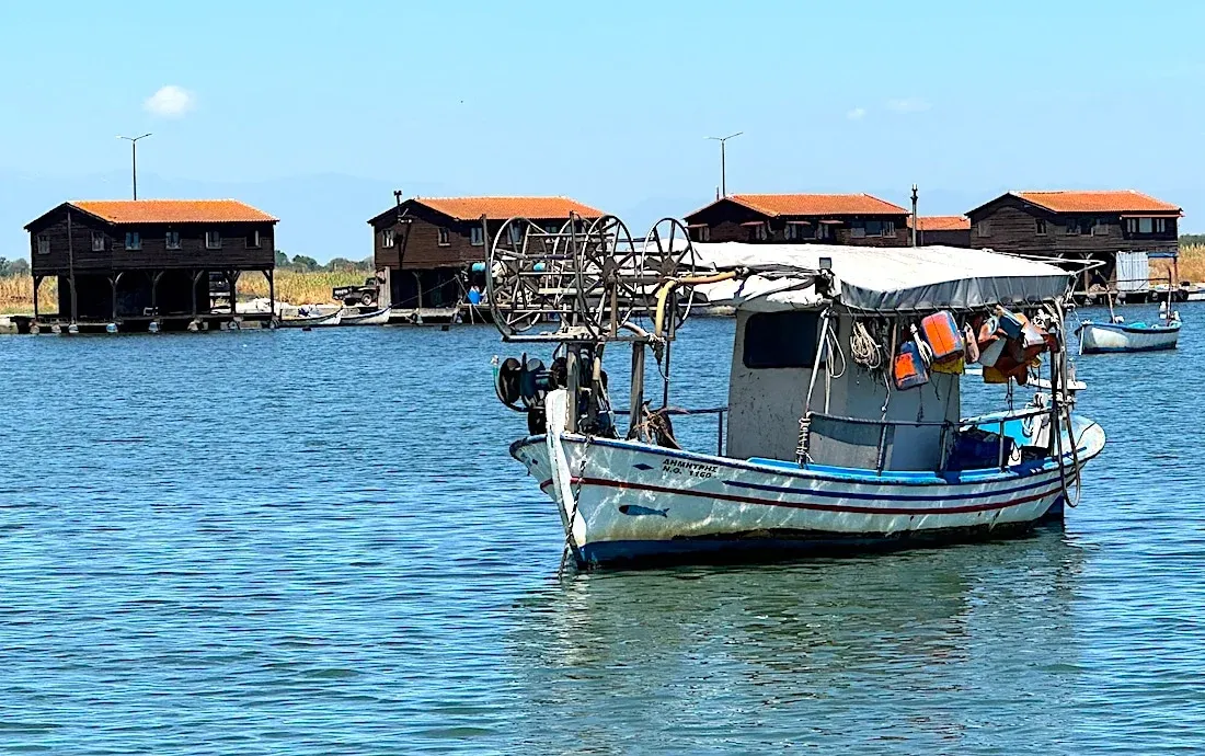 Aksiyos Deltası: Selanik'in Yüzen Topluluğu ve Midye Çiftliği Cenneti