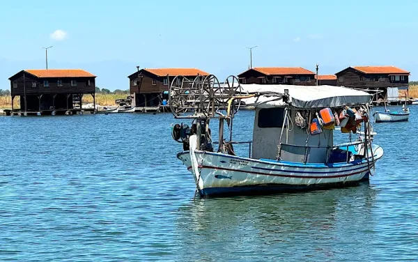 Aksiyos Deltası: Selanik'in Yüzen Topluluğu ve Midye Çiftliği Cenneti