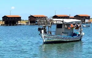 Aksiyos Deltası: Selanik'in Yüzen Topluluğu ve Midye Çiftliği Cenneti