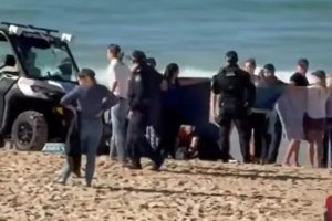 Sidney Coogee Plajı'nda Köpekbalığı Saldırısı: Kadın Hayat Mücadelesi Veriyor