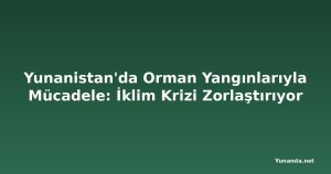 Yunanistan'da Orman Yangınlarıyla Mücadele: İklim Krizi Zorlaştırıyor