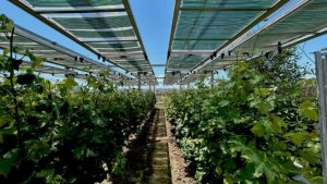 Selanik Nanoteknoloji Merkezi Küresel Lider Araştırmalara Yön Veriyor