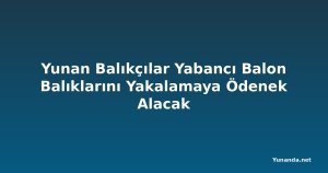 Yunan Balıkçılar Yabancı Balon Balıklarını Yakalamaya Ödenek Alacak