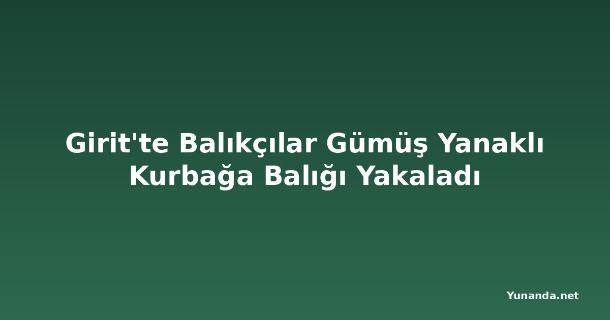 Girit'te Balıkçılar Gümüş Yanaklı Kurbağa Balığı Yakaladı