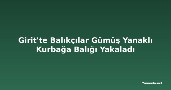 Girit'te Balıkçılar Gümüş Yanaklı Kurbağa Balığı Yakaladı