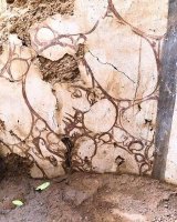 Aphrodisias'taki Antik Konakta Kybele'nin Gizli Kültü Ortaya Çıkarıldı