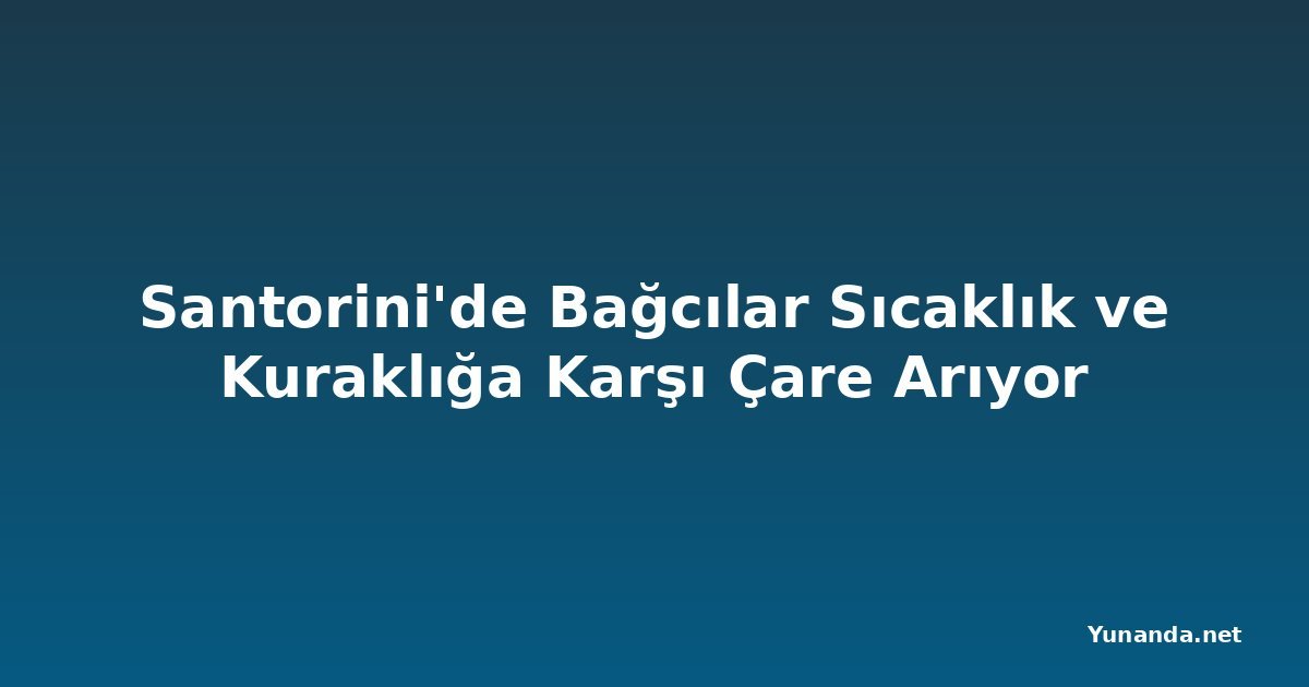 Santorini'de Bağcılar Sıcaklık ve Kuraklığa Karşı Çare Arıyor