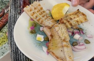 Hantavirüs Salgını Yaşanan Gemiden Üç Hasta Avrupa'ya Tahliye Ediliyor