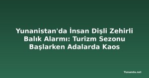 Yunanistan'da İnsan Dişli Zehirli Balık Alarmı: Turizm Sezonu Başlarken Adalarda Kaos