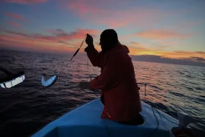 Yunanistan, Isınan Akdeniz'deki Zehirli Balık İstilasına Karşı Balıkçılara Prim Veriyor