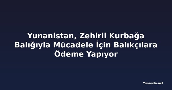 Yunanistan, Zehirli Kurbağa Balığıyla Mücadele İçin Balıkçılara Ödeme Yapıyor