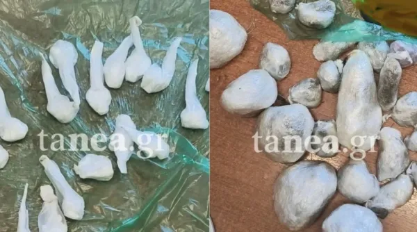 Polis, Okullar Yakınında Kokain Deposu Nedeniyle Genci Tutukladı