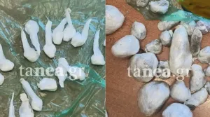 Polis, Okullar Yakınında Kokain Deposu Nedeniyle Genci Tutukladı