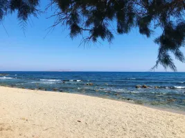 Kalamata Sahil Gelişimi Kıyı Şeridinin Geleceği Konusunda Tartışma Başlattı