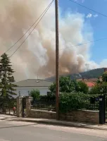 Yunanistan'da Orman Yangını: Bir Ölü, Bir Yaralı