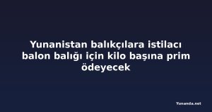 Yunanistan balıkçılara istilacı balon balığı için kilo başına prim ödeyecek