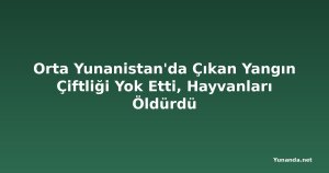 Orta Yunanistan'da Çıkan Yangın Çiftliği Yok Etti, Hayvanları Öldürdü