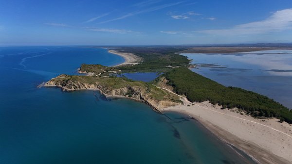Atlantik'teki Bir Yolcu Gemisinde Nadir Hantavirüs Salgını Şüphesi 3 Kişiyi Öldürdü