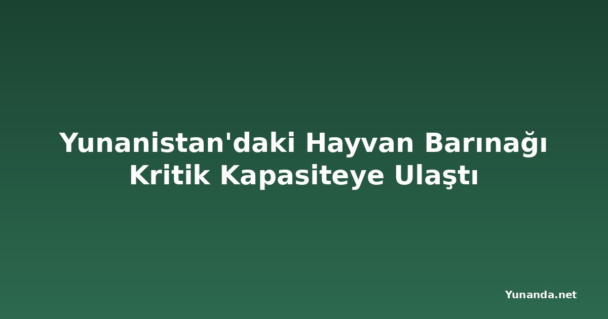 Yunanistan'daki Hayvan Barınağı Kritik Kapasiteye Ulaştı