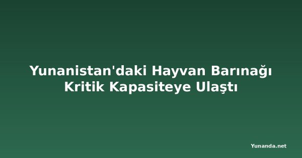 Yunanistan'daki Hayvan Barınağı Kritik Kapasiteye Ulaştı