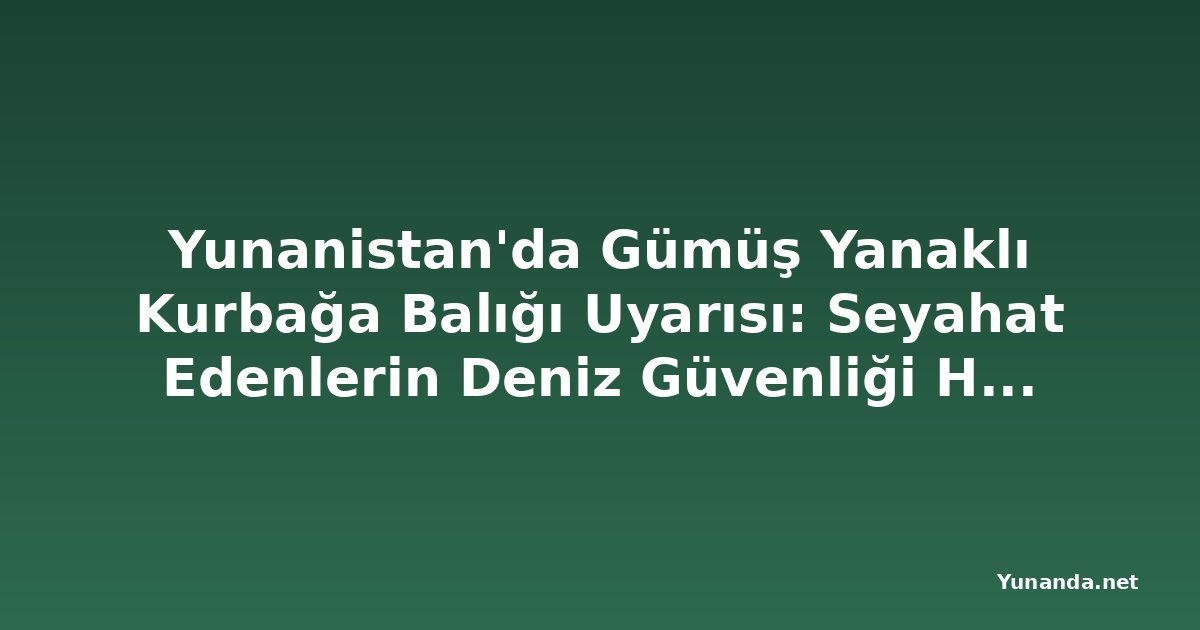 Yunanistan'da Gümüş Yanaklı Kurbağa Balığı Uyarısı: Seyahat Edenlerin Deniz Güvenliği Hakkında Bilmesi Gerekenler