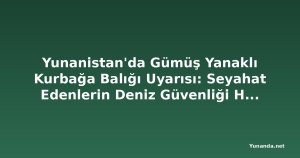 Yunanistan'da Gümüş Yanaklı Kurbağa Balığı Uyarısı: Seyahat Edenlerin Deniz Güvenliği Hakkında Bilmesi Gerekenler