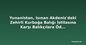 Yunanistan, Isınan Akdeniz'deki Zehirli Kurbağa Balığı İstilasına Karşı Balıkçılara Ödeme Yapıyor