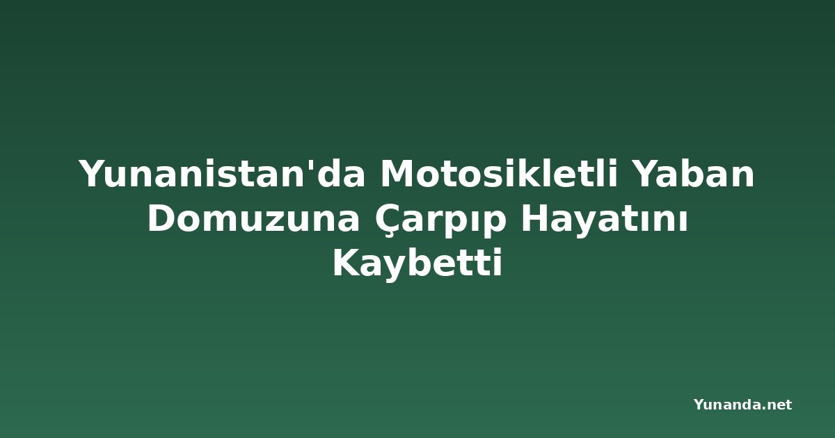 Yunanistan'da Motosikletli Yaban Domuzuna Çarpıp Hayatını Kaybetti