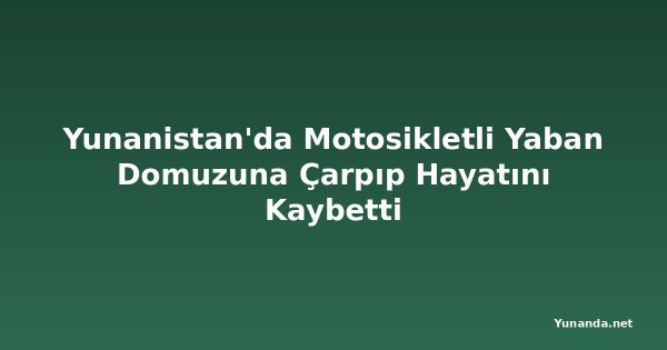 Yunanistan'da Motosikletli Yaban Domuzuna Çarpıp Hayatını Kaybetti