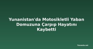 Yunanistan'da Motosikletli Yaban Domuzuna Çarpıp Hayatını Kaybetti