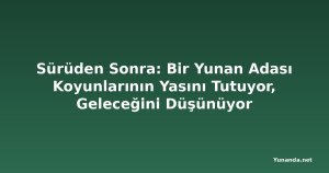 Sürüden Sonra: Bir Yunan Adası Koyunlarının Yasını Tutuyor, Geleceğini Düşünüyor