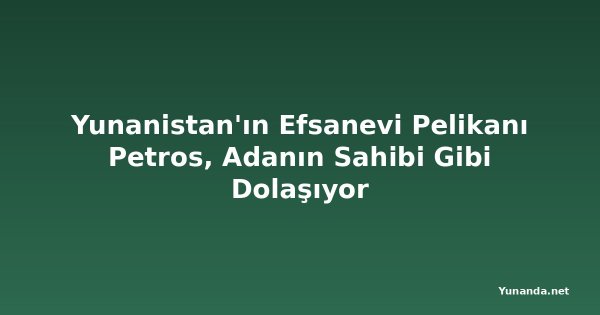 Yunanistan'ın Efsanevi Pelikanı Petros, Adanın Sahibi Gibi Dolaşıyor