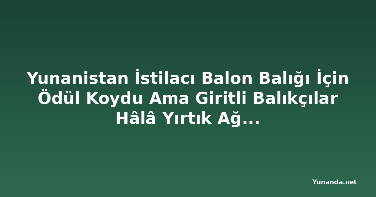 Yunanistan İstilacı Balon Balığı İçin Ödül Koydu Ama Giritli Balıkçılar Hâlâ Yırtık Ağlar ve Kayıp Gelirle Mücadele Ediyor