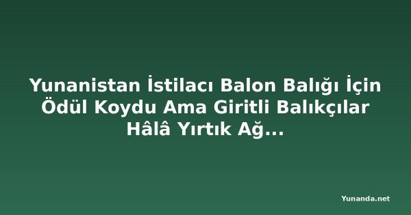 Yunanistan İstilacı Balon Balığı İçin Ödül Koydu Ama Giritli Balıkçılar Hâlâ Yırtık Ağlar ve Kayıp Gelirle Mücadele Ediyor