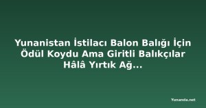 Yunanistan İstilacı Balon Balığı İçin Ödül Koydu Ama Giritli Balıkçılar Hâlâ Yırtık Ağlar ve Kayıp Gelirle Mücadele Ediyor