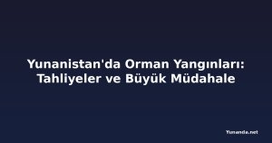 Yunanistan'da Orman Yangınları: Tahliyeler ve Büyük Müdahale