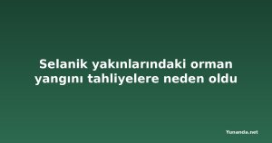 Selanik yakınlarındaki orman yangını tahliyelere neden oldu
