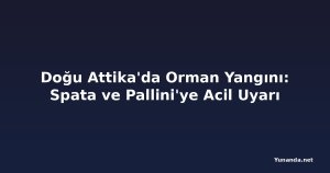 Doğu Attika'da Orman Yangını: Spata ve Pallini'ye Acil Uyarı