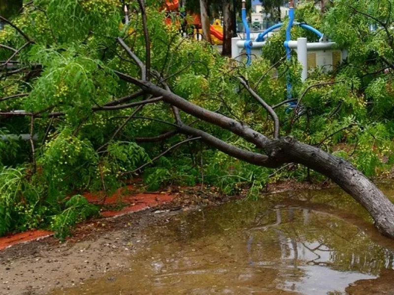 Korfu'da Şiddetli Fırtına: Elektrik ve Su Kesintileri, Devrilen Ağaçlar