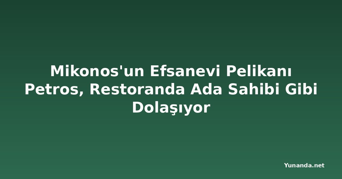Mikonos'un Efsanevi Pelikanı Petros, Restoranda Ada Sahibi Gibi Dolaşıyor