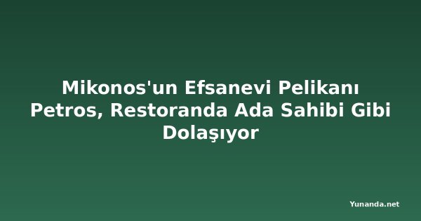 Mikonos'un Efsanevi Pelikanı Petros, Restoranda Ada Sahibi Gibi Dolaşıyor