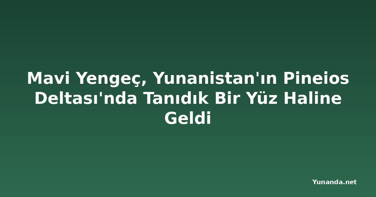 Mavi Yengeç, Yunanistan'ın Pineios Deltası'nda Tanıdık Bir Yüz Haline Geldi