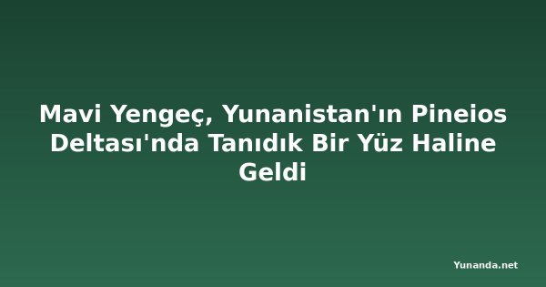 Mavi Yengeç, Yunanistan'ın Pineios Deltası'nda Tanıdık Bir Yüz Haline Geldi